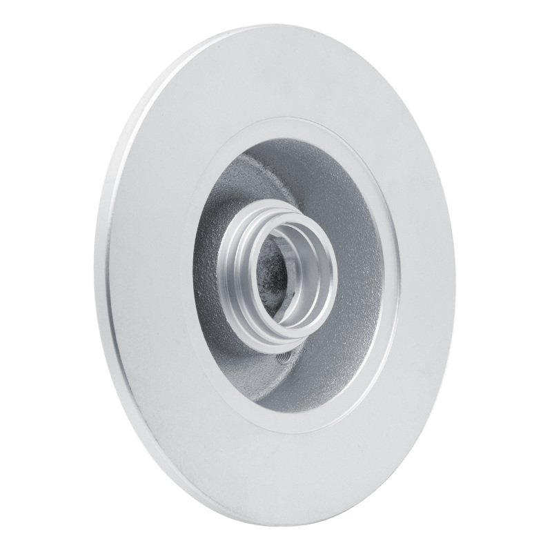 Audi A4 Brake Rotor (1) - Rear - R1 Concepts - GeoSPEC Coated - `96-`08